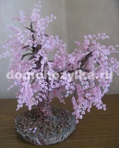 Sakura Gyöngy saját kezűleg-előállító eljárást egy fotó