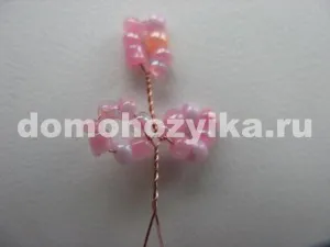 Sakura Gyöngy saját kezűleg-előállító eljárást egy fotó