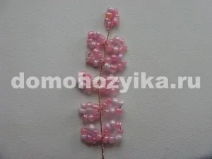 Sakura Gyöngy saját kezűleg-előállító eljárást egy fotó
