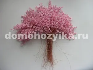 Sakura Gyöngy saját kezűleg-előállító eljárást egy fotó