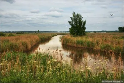 Orosz természet 1