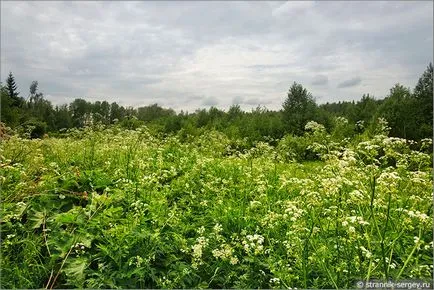 Orosz természet 1