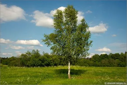 Orosz természet 1