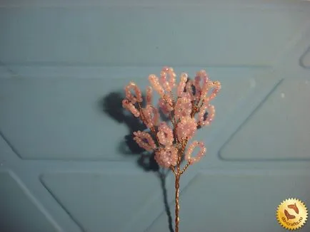 Sakura gyöngy kezével, a mester osztályt kezdők, szövés lépésről lépésre fotók