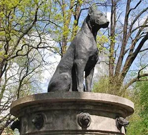 Kutyák - Gyermek Encyclopedia (első kiadás)