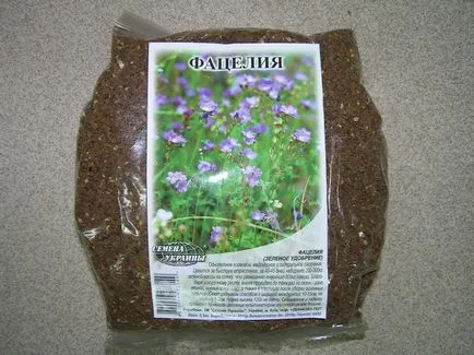 Siderate Phacelia hogyan és mikor kell ültetni a növény (Phacelia) Siderate Phacelia milyen a növény, és ha a növény