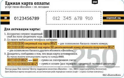 Fizetési módok Internet Beeline
