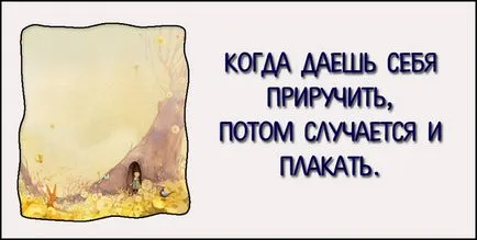 Titkai „A kis herceg” rejtett üzenetek idézetek