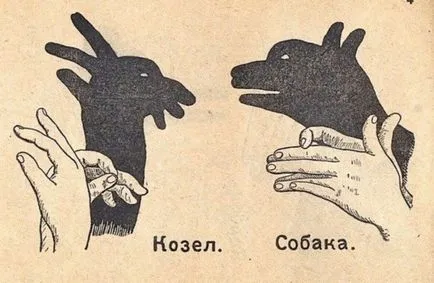 állat árnyéka kezek