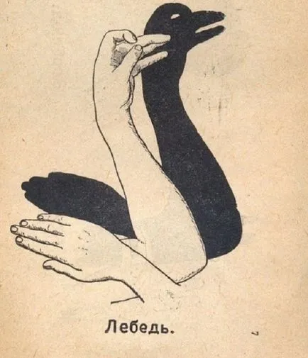 állat árnyéka kezek