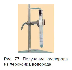 17. lecke