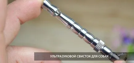 Ultrahangos síp megijeszteni és a kutya képzési ár, ahol vásárolni