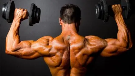 Gyakorlatok súlyzókkal otthon swing a bicepsz, tricepsz, váll, mellkas, hát és a lábak otthon (gyakorlat) Gyakorlatok súlyzókkal otthon swing a bicepsz, tricepsz, váll, mellkas, hát és a lábak otthon