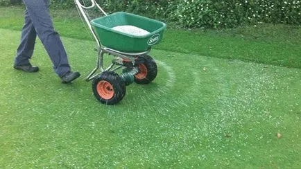 Trágya a gyep, mikor és hogyan megtermékenyíteni a gyep (gyeptrágyát megtermékenyíteni az ősszel, mint amikor etetni) Trágya a gyep, mikor és hogyan megtermékenyíteni a gyep