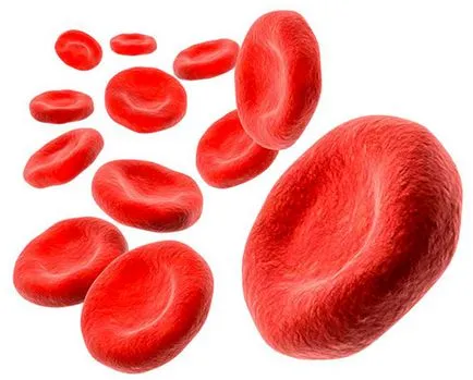 Mi történik, ha magasabb a hemoglobin Mi történik, ha magasabb a hemoglobin