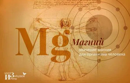 Mely élelmiszerekben található magnézium (amely élelmiszerek tartalmaznak) Mely élelmiszerekben található magnézium