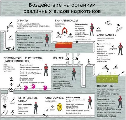 Típusú drogok, a hatás az opiátok, barbiturátok, pszichotropikus szerek, nyugtatók, kezelés (barbiturátok) Típusú drogok, a hatás az opiátok, barbiturátok, pszichotropikus szerek, nyugtatók, a kezelés