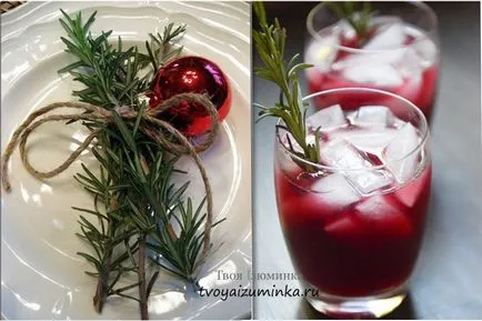 Fenyő szobanövények miniatűr alternatíva egy élő karácsonyfa (növény) Fenyő szobanövények miniatűr alternatíva egy élő karácsonyfa