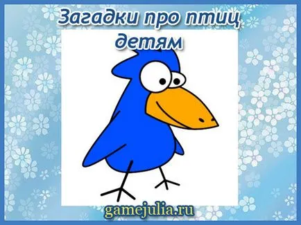 Talányok a madarakkal gyermek