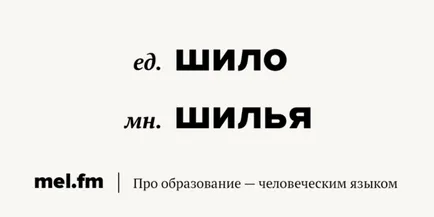 Hogyan többes szám