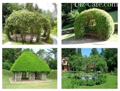 Pavilonban a kerti telek Pavilonban a kerti telek