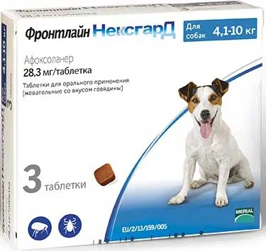 Hogyan kell kezelni a kutyát kullancsok ellen