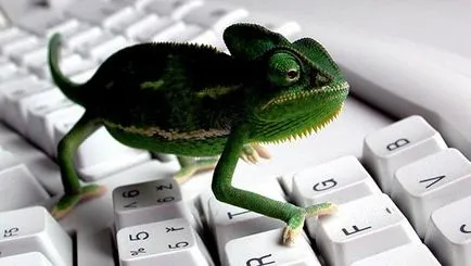 Anonymizer az osztálytársai, hogy ez a Anonymizer az osztálytársai, hogy ez a