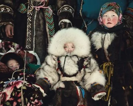 Hogy a törzsek