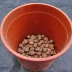 Mi a vízelvezetés cserepes növények Mi a vízelvezetés cserepes növények