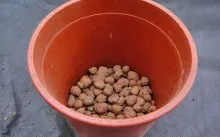 Mi a vízelvezetés cserepes növények Mi a vízelvezetés cserepes növények