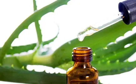 Injekciókat aloe nőgyógyászati ​​kézikönyv