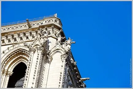 Hogyan lehet a Notre Dame