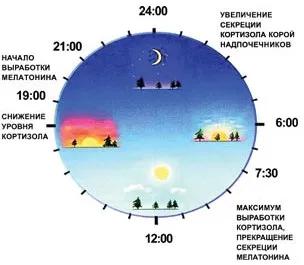 A melatonin hormon A melatonin hormon