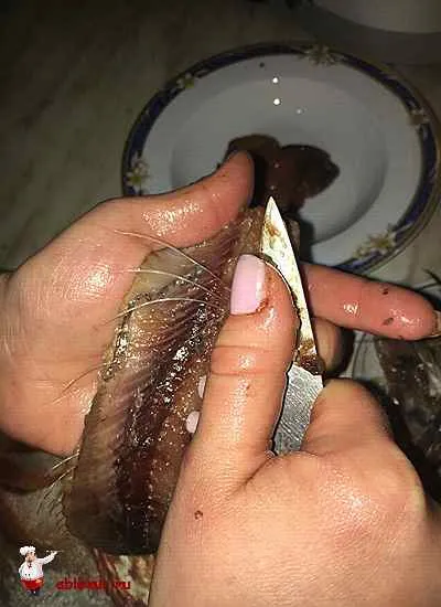 Hogyan lehet gyorsan tisztítható a hering Hogyan lehet gyorsan tisztítható a hering