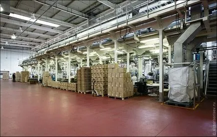 Orosz chips
