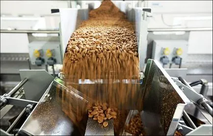 Orosz chips