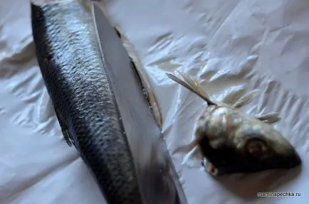 Hogyan lehet gyorsan tisztítható a hering Hogyan lehet gyorsan tisztítható a hering