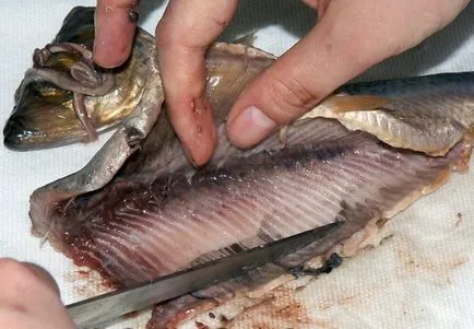Hogyan lehet gyorsan tisztítható a hering