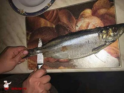 Hogyan lehet gyorsan tisztítható a hering Hogyan lehet gyorsan tisztítható a hering
