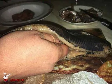 Hogyan lehet gyorsan tisztítható a hering Hogyan lehet gyorsan tisztítható a hering