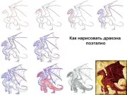 Tanulságokat Dog