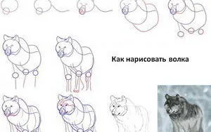 Tanulságokat Dog