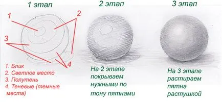 Hogyan rajzoljunk kezdőknek