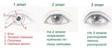 Hogyan rajzoljunk kezdőknek