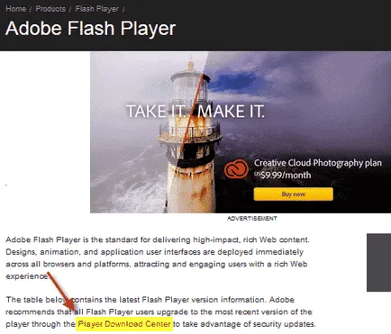 Hogyan kell telepíteni a Flash plugin
