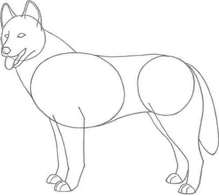 Tanulságokat Dog