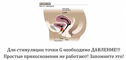 Hogyan ösztönzik Hogyan ösztönzik