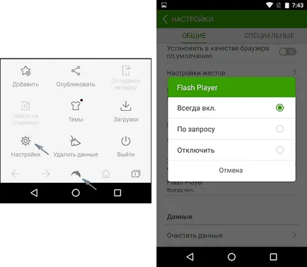 Hogyan kell telepíteni a Flash plugin