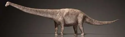 Hogyan alakult ki a dinoszauruszok