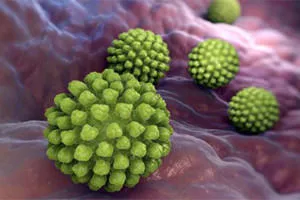 Gyomor influenza tünetei és kezelése Gyomor influenza tünetei és kezelése